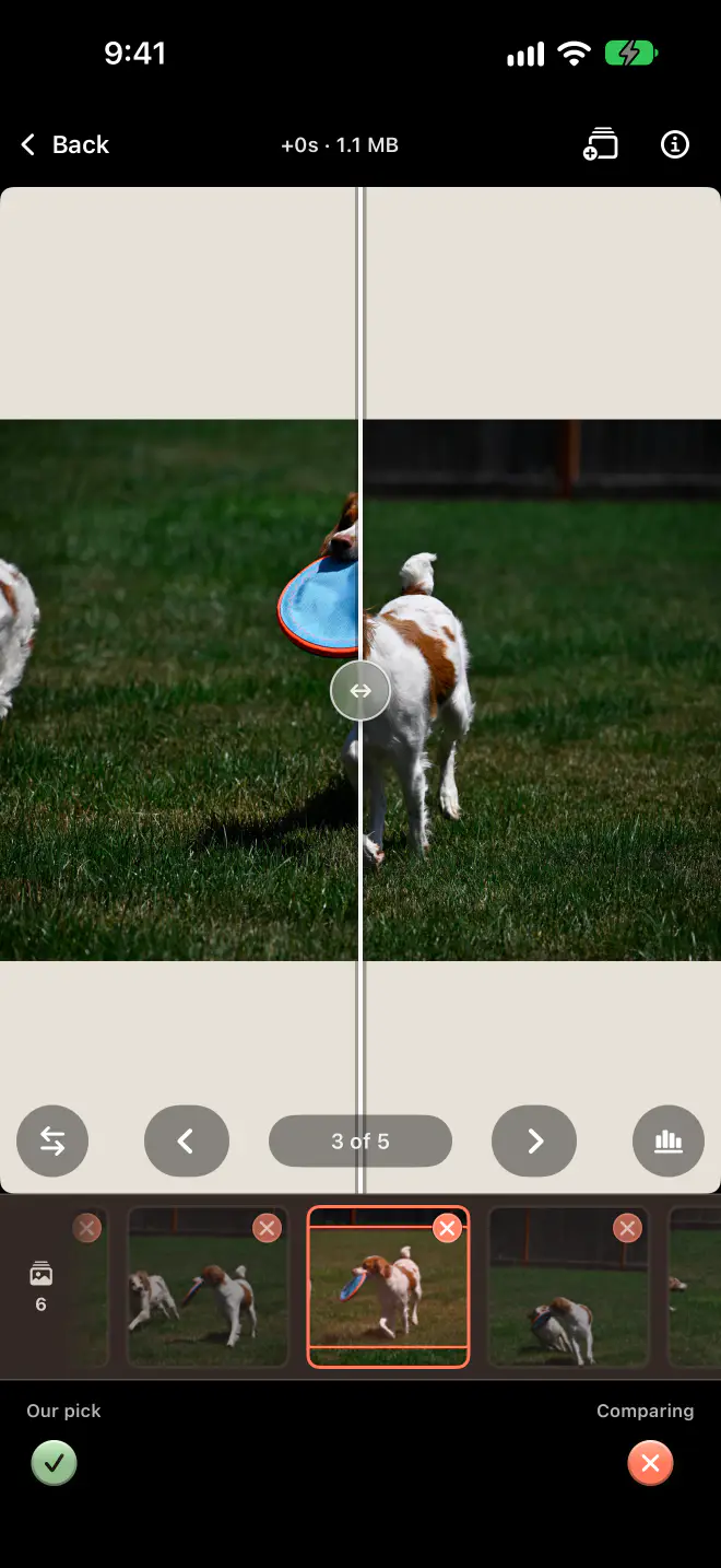 Compare on iPhone: our pick and a blurred frame of a dog catching a disc, split by a divider